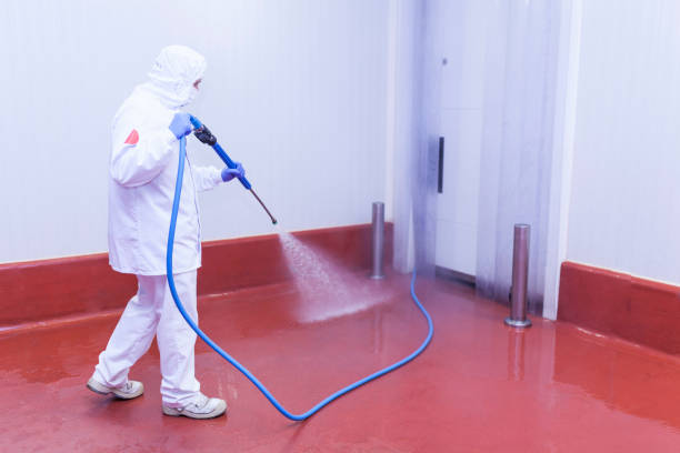 Best Rust Removal  in Kuna, ID